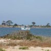 Marsala_2012 (293)